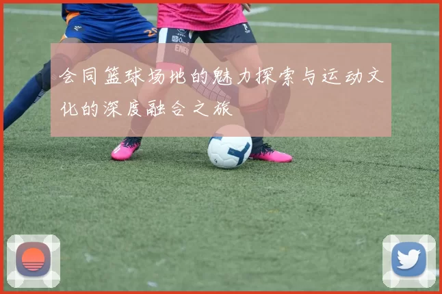 会同篮球场地的魅力探索与运动文化的深度融合之旅