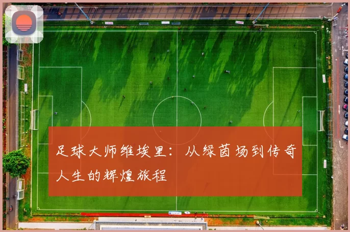 足球大师维埃里：从绿茵场到传奇人生的辉煌旅程