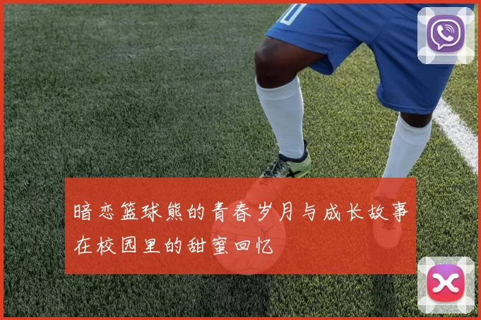 暗恋篮球熊的青春岁月与成长故事在校园里的甜蜜回忆