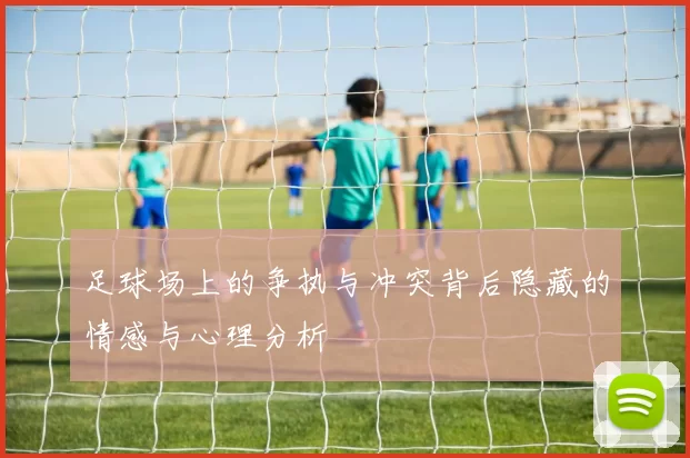 足球场上的争执与冲突背后隐藏的情感与心理分析