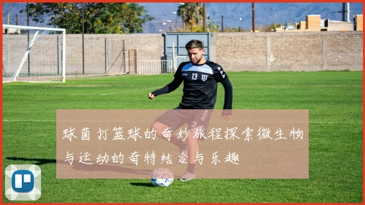 球菌打篮球的奇妙旅程探索微生物与运动的奇特结合与乐趣